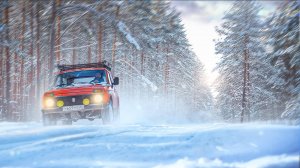 Ношусь по зимнему лесу на НИВЕ. Рыжая старуха еще может. Жарим стейки на костре.