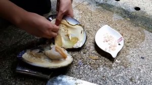 Китаянка достает жемчуг из ракушек. Его так много и они очень красивые