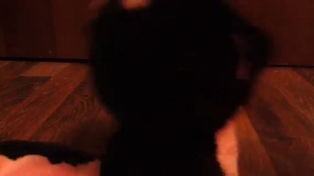 Моя коллекция мягких игрушек юху 💙💚💙 смотреть онлайн