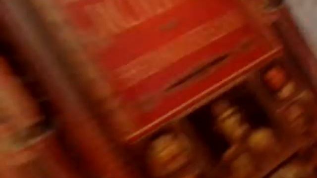 Аджилити с хорьком???😨😨😨 Это что-то новенькое!) смотреть онлайн