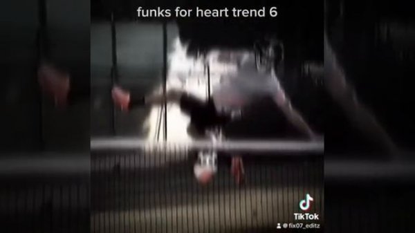 Mega pack of FUNKS FOR HEART TREND ! ! ! 🚨‼️🚨‼️ #funk #funks #brazilianfunk #funkslowed #hearttrend