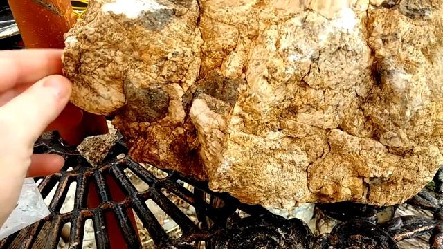 Pegmatite Crystals - Zones, Quartz, Graphic Granite, Feldspar and Feel Better Soon meMiner! смотреть онлайн