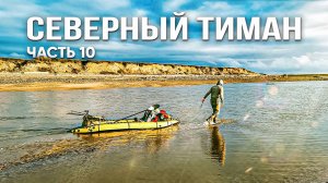 Застряли в приливной зоне. Раненый олень ищет спасения у людей, схватка с гигантской рыбой