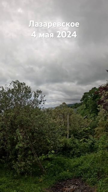 #лазаревское #2024 #сочи #погода ##температура #beach #travel #сегодня 4 мая #море #summer смотреть онлайн