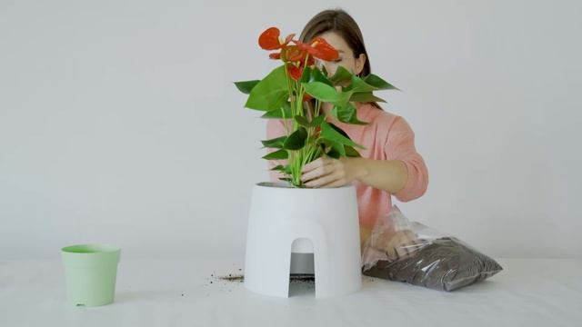 Come Installare il tuo Purificatore d'Aria Natede смотреть онлайн