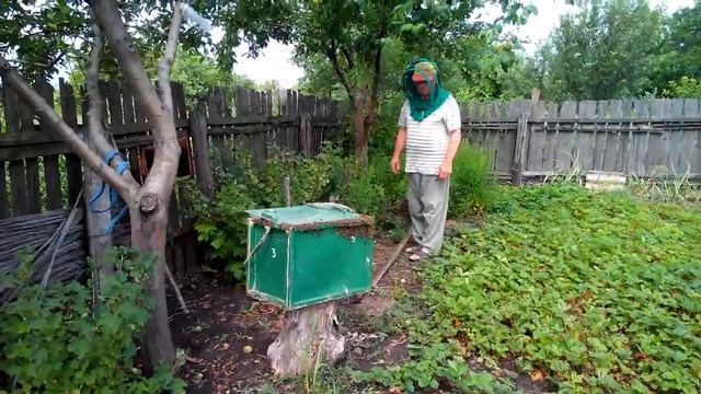 снимаю рой смотреть онлайн