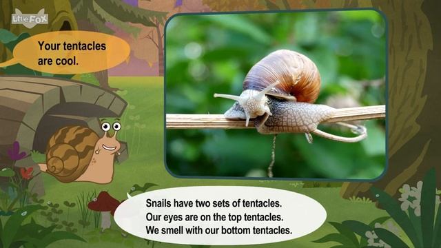 24. Meet the Animlals Garden Snail Gastropods Stories for Kindergarten смотреть онлайн