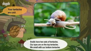24. Meet the Animlals  Garden Snail  Gastropods  Stories for Kindergarten