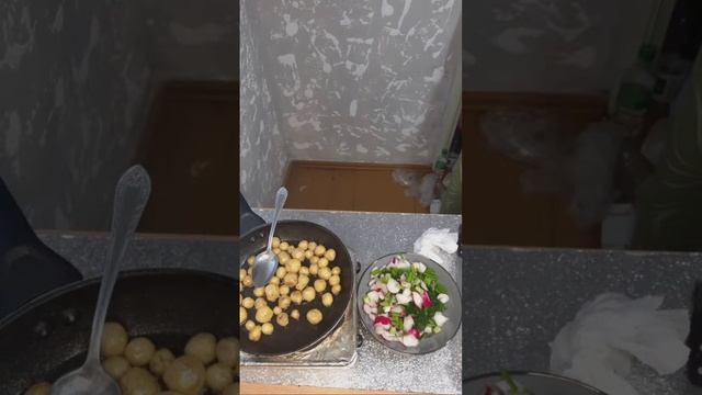 Ludmar cooking в прямом эфире! смотреть онлайн