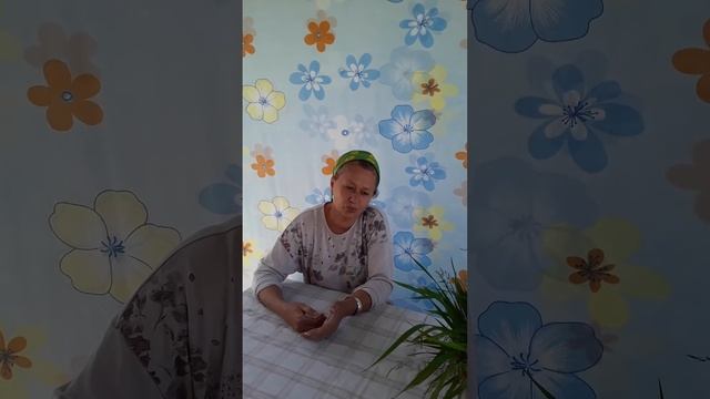 Доброе утро КЫРГЫЗСТАН