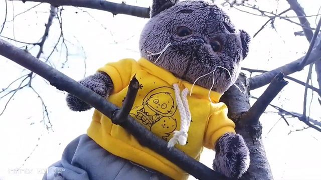 ВЛОГ! КУДА уехали МЯТА и БАСИК?!                             тгк в описании под видео!