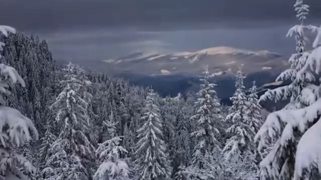 Антонио Вивальди "Времена года" - "Зима" смотреть онлайн