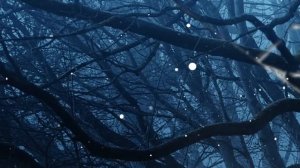 Даша,  домовой и Ко...   12 серия (автор Наталья Меркулова) Мистика. Приключения.