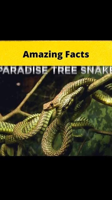 Top 3 Awesome Animals😮😮😮 @MRINDIANHACKER  @CrazyXYZ  || #shorts || #FactBeast