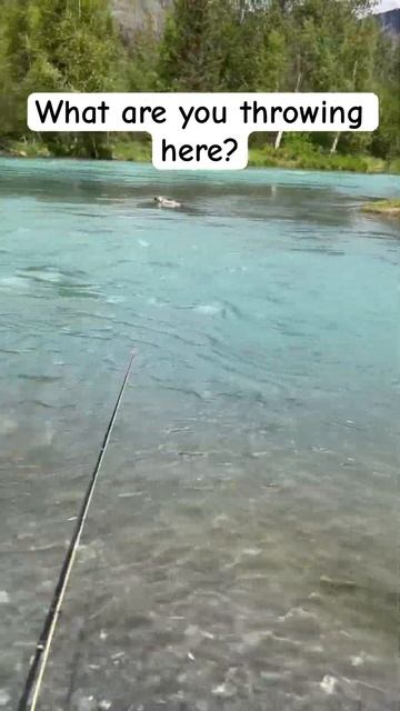 Early Summer In Alaska, What Are You Throwing? #fishing #kenairiver #fishingadventures #flyfishing