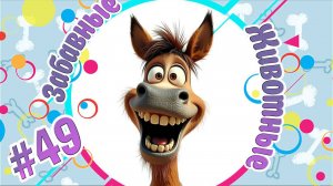 Забавные и Смешные Животные № 49 + Лучшие Подборки Животных + Смешные и Прикольные Животные