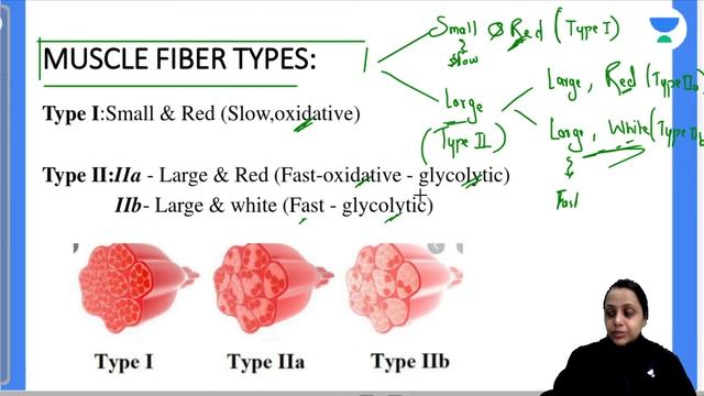 Rapid Revision for NEET PG | L3 | Physiology | Let's Crack NEET PG | Dr.Nidhi Mittal смотреть онлайн