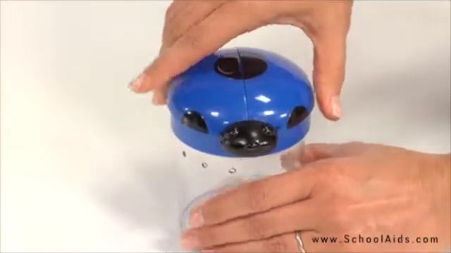 Big View Bug Jar-LER2780 смотреть онлайн