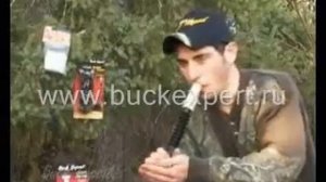 Манок на кабана