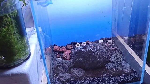 Rescape LowTech to MediumTech /Aquascape смотреть онлайн