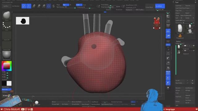 Learning Anatomy Day 17 смотреть онлайн