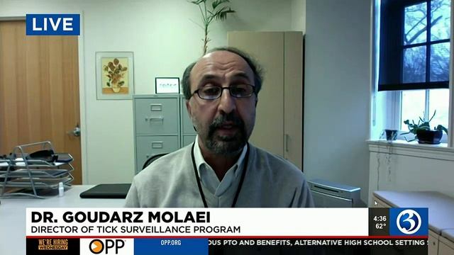 INTERVIEW: Tickborne disease on the rise in Northeast смотреть онлайн