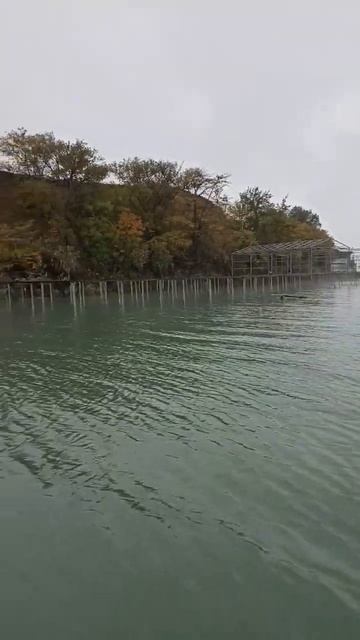 Рыбалка тролингом,окунь порадовал! #fishing #рыболовная #щука #рыбалка #окунь