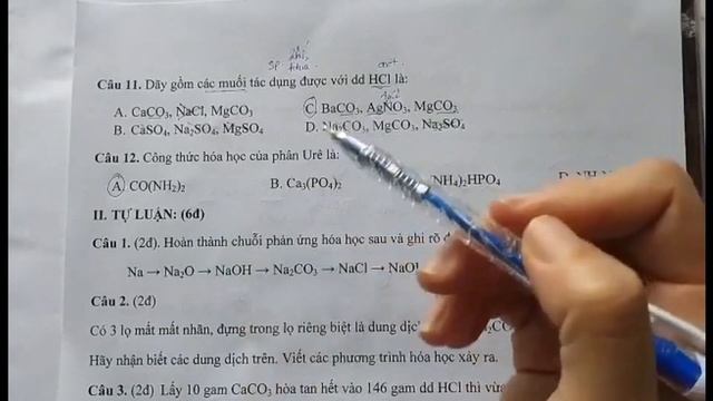 kiểm tra hóa 9 giữa kì 1 năm học 2022-2023 (có link word dưới phần mô tả) смотреть онлайн