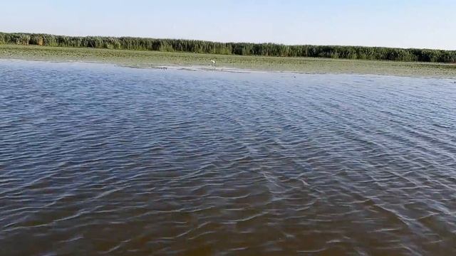 Somova 06.08.2020 4 Delta Dunării смотреть онлайн