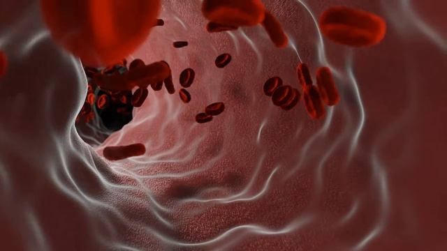 RBC animation in Blood Vessel (blender 3.0) | Blender Art | SciArt смотреть онлайн