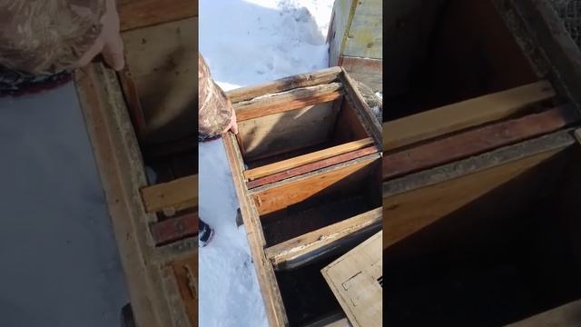 Новая технология в пчеловодстве смотреть онлайн