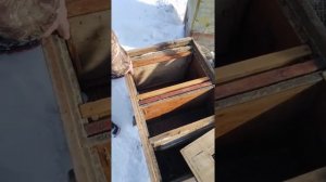 Новая технология в пчеловодстве