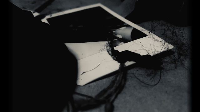 12 Polaroids смотреть онлайн