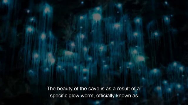 The Fairy Tale Love Cave (Glow Worm Cave) смотреть онлайн