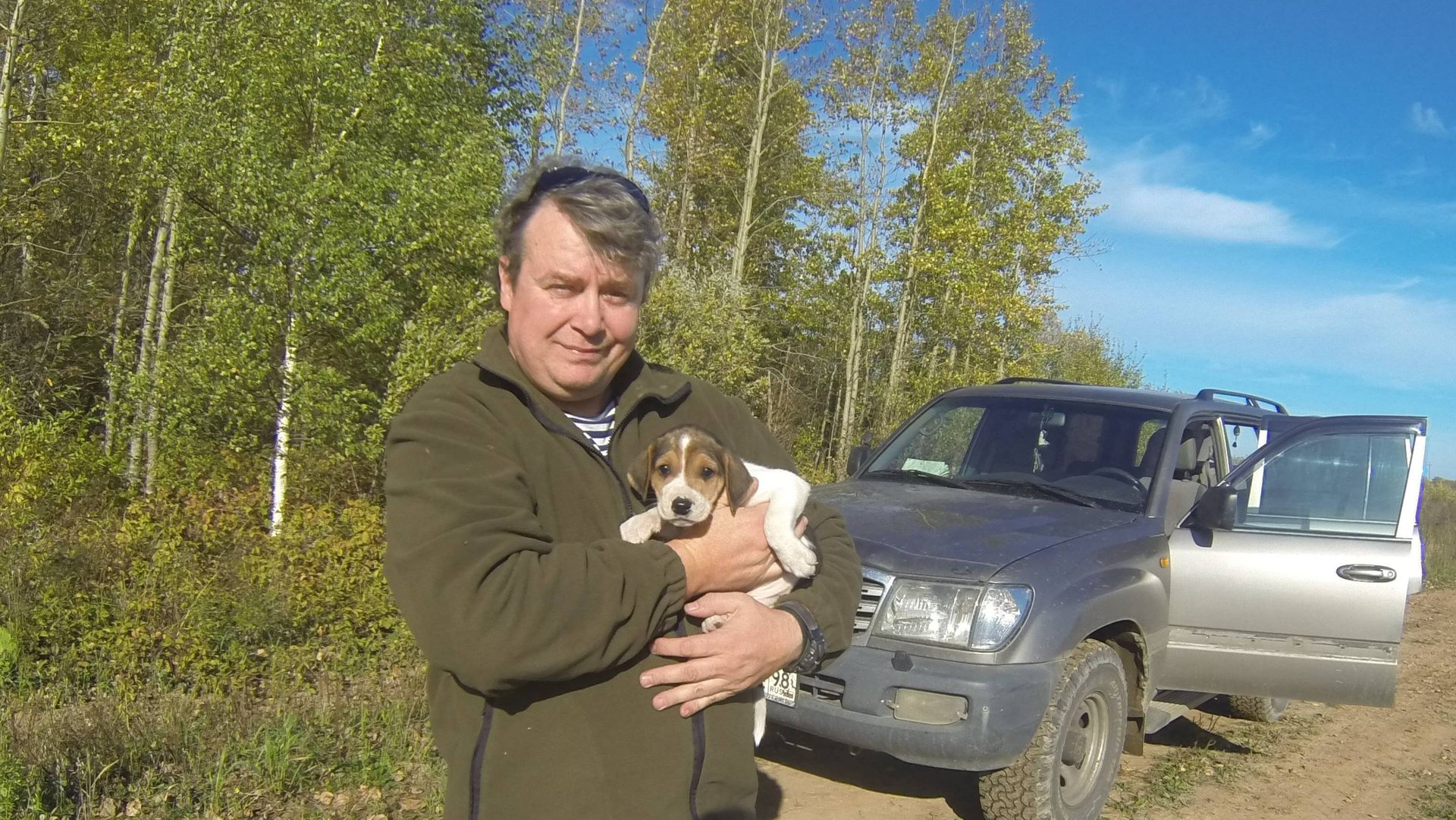 Щенок русской пегой гончей Гром. Октябрь 2015 г. смотреть онлайн