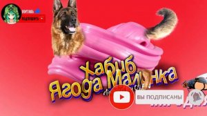 ТОП 10 ПАРОДИЙ про МЫШКУ СОСИСКУ ПОПЫТ и ТОМАСА EXE ► ХАБИБ ЯГОДА МАЛИНКА ► Песня про мышка-сосиска