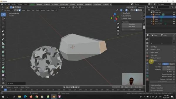Blender 3D | Addon Tissue | Creating detailed pattern into surfaces of mesh