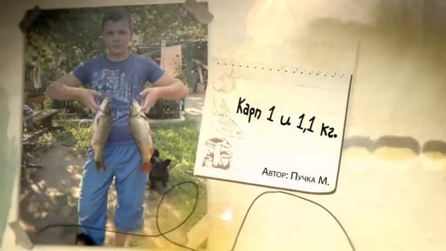 Фотоальбом - Рыбалка №33 смотреть онлайн