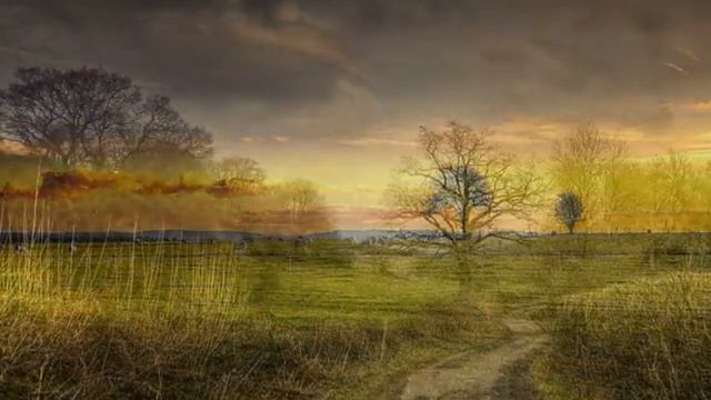 Photo nature new Story1 смотреть онлайн