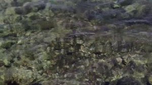 Обзор отеля Sharm Grand Plaza. Шарм-Эль-Шейх. Египет. Часть 3