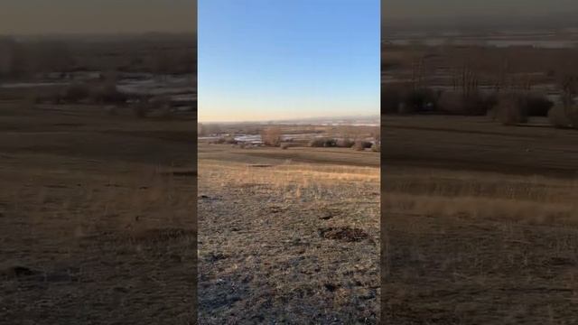 Черноречье. 23.11.2019.