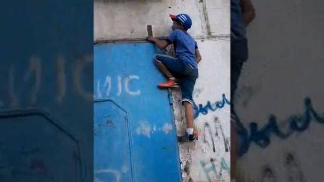 Житикара смотреть онлайн