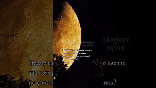 Послания Апостола Павла. Убегайте идолослужения смотреть онлайн