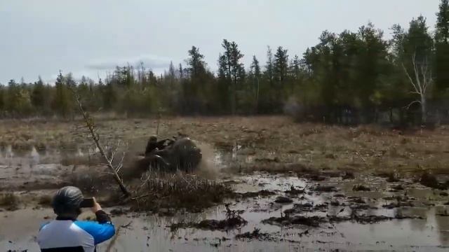 Kawasaki Brute Force 840