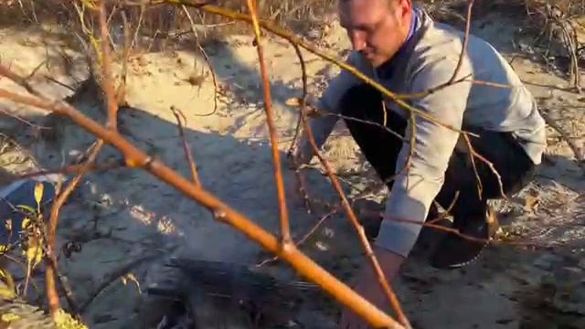 знакомства со мной на море с родителями смотреть онлайн