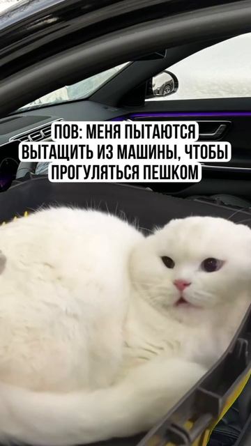 Ты знаешь, кому отправить смотреть онлайн