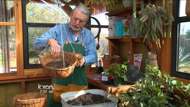 Weekend Gardener: Out of this world cleaning plants смотреть онлайн