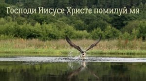 «СТРАННИК» - песня о Спасителе. Поет Ольга Братчина. Стихи м. Салафиила Филипьева.