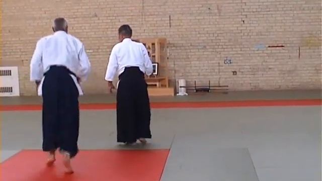 Айкикай Великобритании. Инструктора (практика, 2001) - ч 1