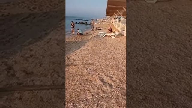 Кирилловка. Убирают медуз смотреть онлайн